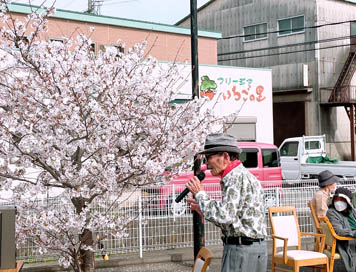 2022年4月6日(水)花見