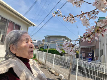 2023年4月4日(火)花見