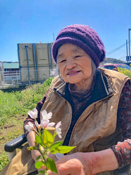 2024年4月10日(水)花見