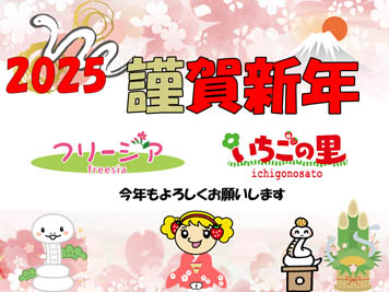 2025年1月1日(水)初詣