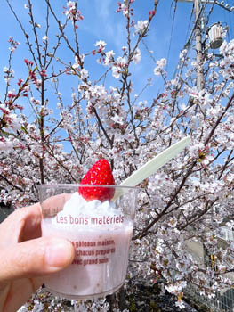 2025年4月9日(水)花見