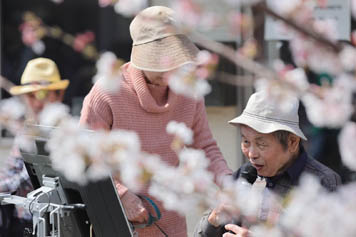 2025年4月9日（水）お花見