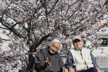 2025年4月9日（水）お花見