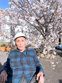 2025年4月9日（水）お花見