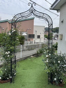 2025年5-6月花壇と農園